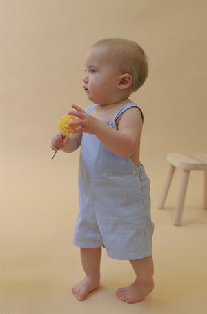 Toddler Knotted Shortalls | Blue Stripes